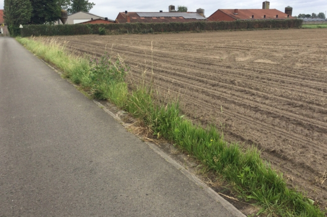 2 ha akkerland te koop in Wielsbeke