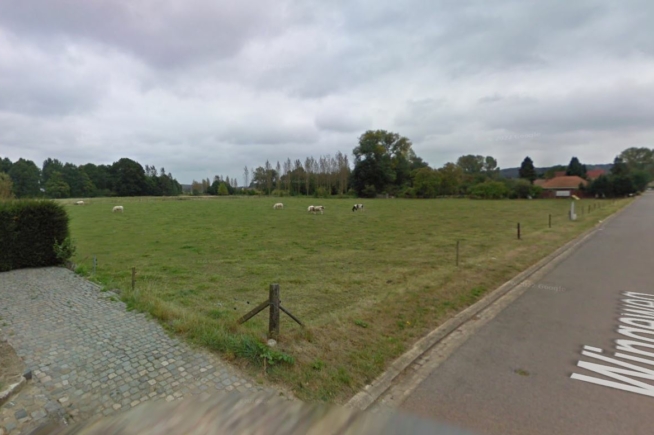 Grond op ca. 1,90 HA te Holsbeek