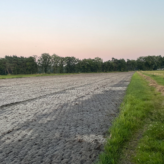 Twee mooie percelen landbouwgrond in Arendonk van 2,6ha gelegen langs een zijstraat van de Lusthoven