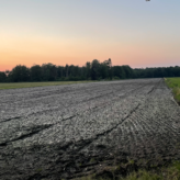 Twee mooie percelen landbouwgrond in Arendonk van 2,6ha gelegen langs een zijstraat van de Lusthoven