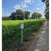 Twee mooie percelen landbouwgrond in Arendonk van 2,6ha gelegen langs een zijstraat van de Lusthoven